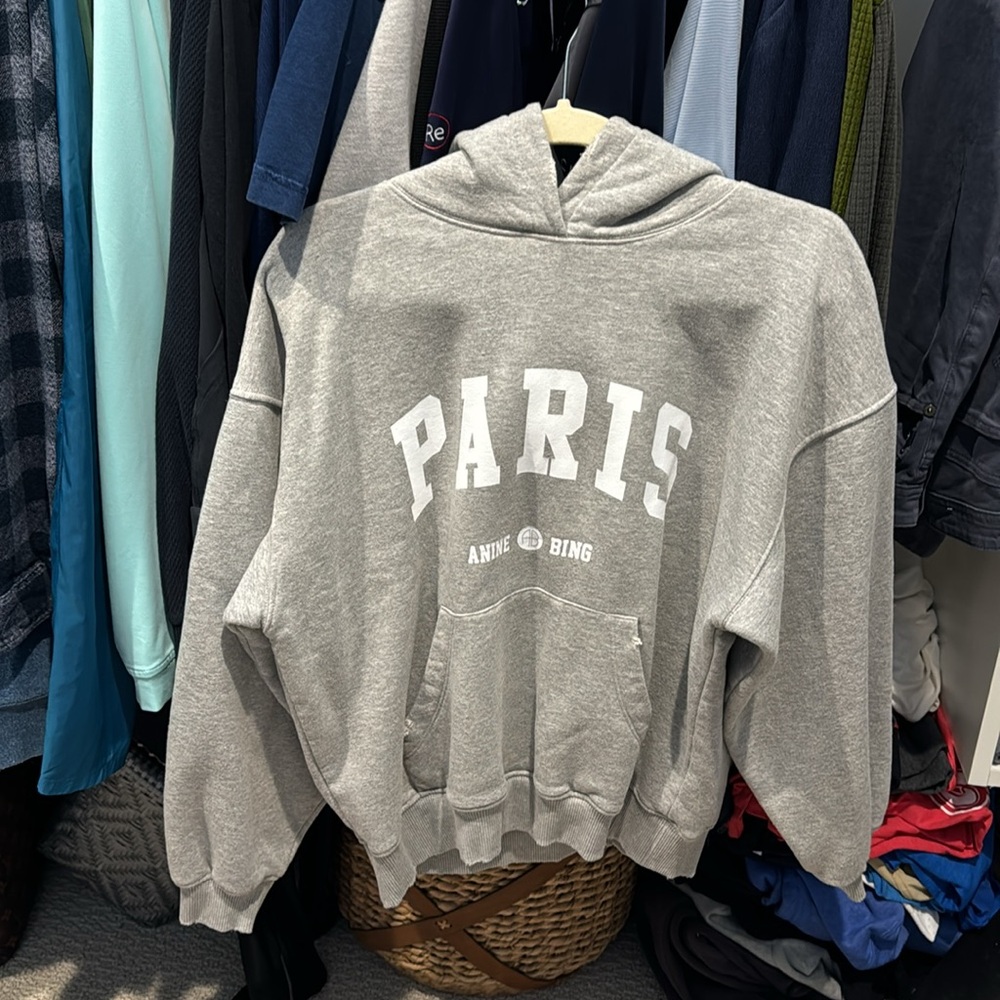 Anine Bing “Paris” hoodie.